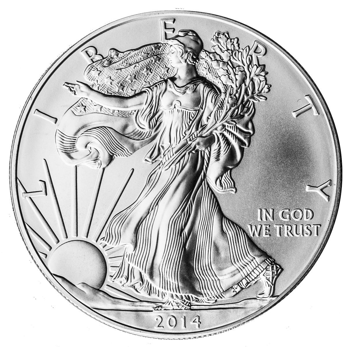 1 oz American Eagle Silver Coin (Random Year)