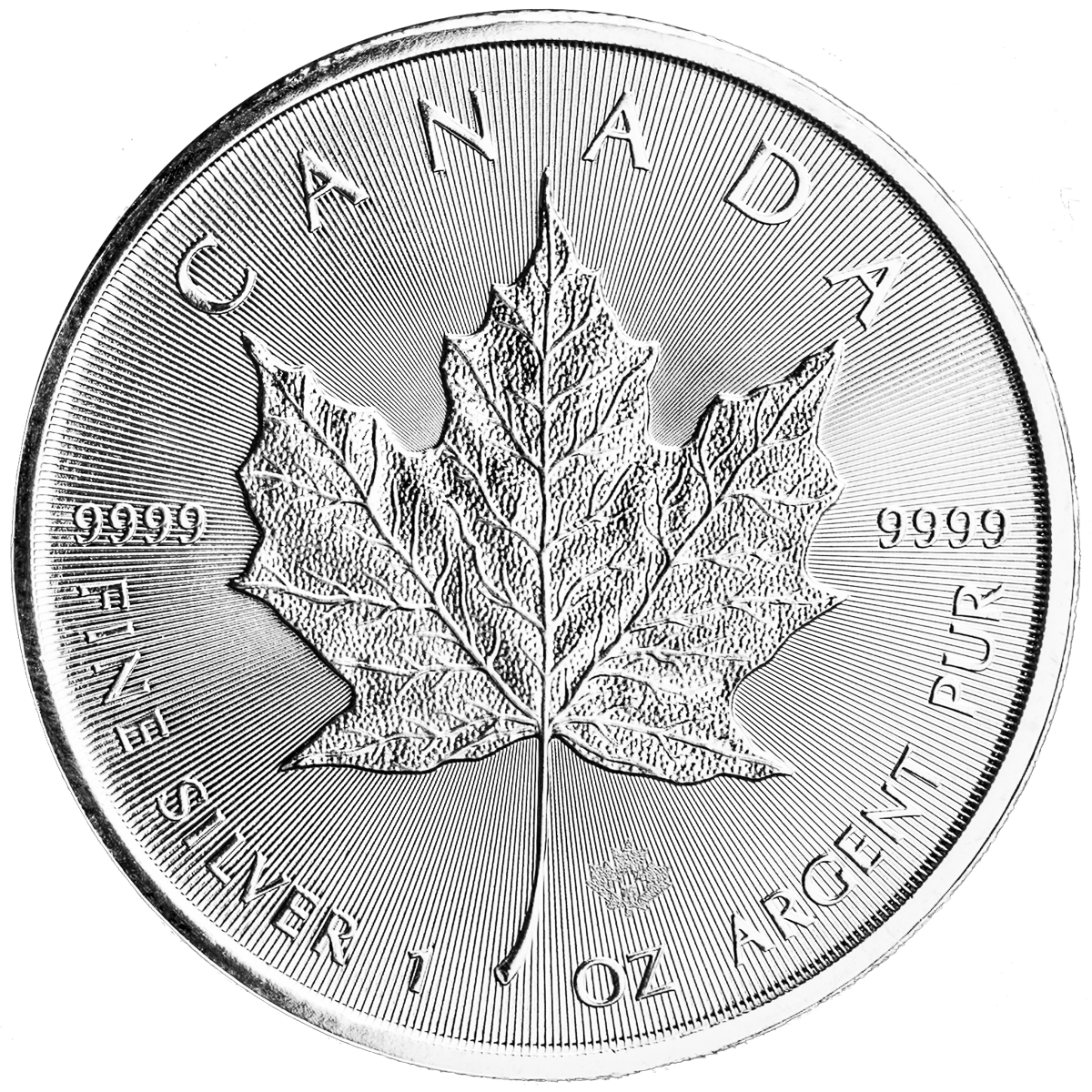 1 oz Canadian Silver Maple Leaf Coin (Random Year) (Pre-Sale : 3 Week Delivery)