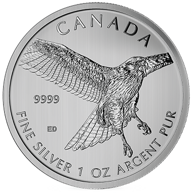 1 oz Silver Red Tail Hawk (SML)