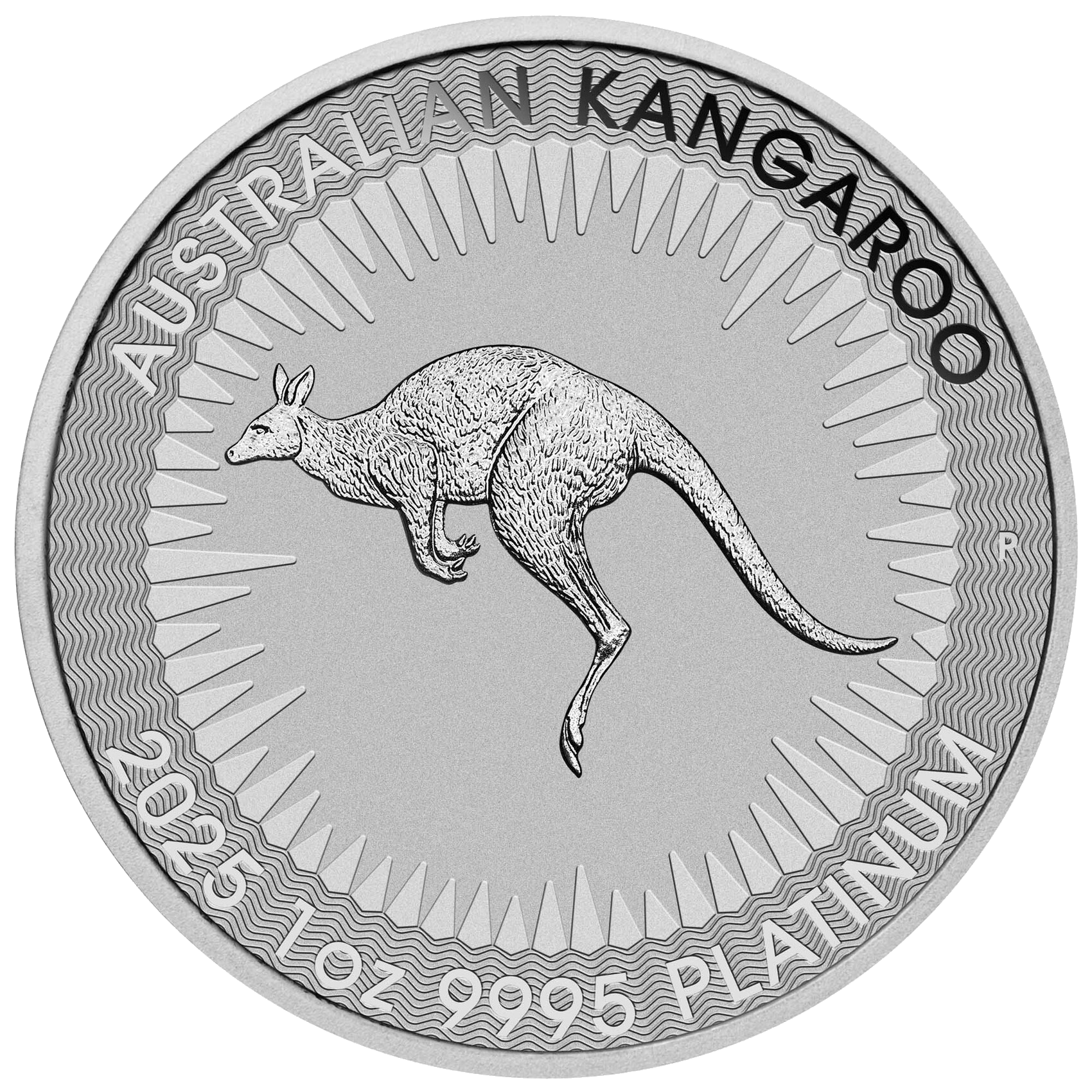 1 oz Australian Kangaroo Platinum Coin