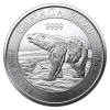 2020 Canadian Polar Bear 1/2 oz Silver Coin