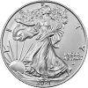 1 oz Silver Eagle Coin Type 2