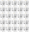 PAMP Platinum Fortuna 1g MULTIGRAM 25